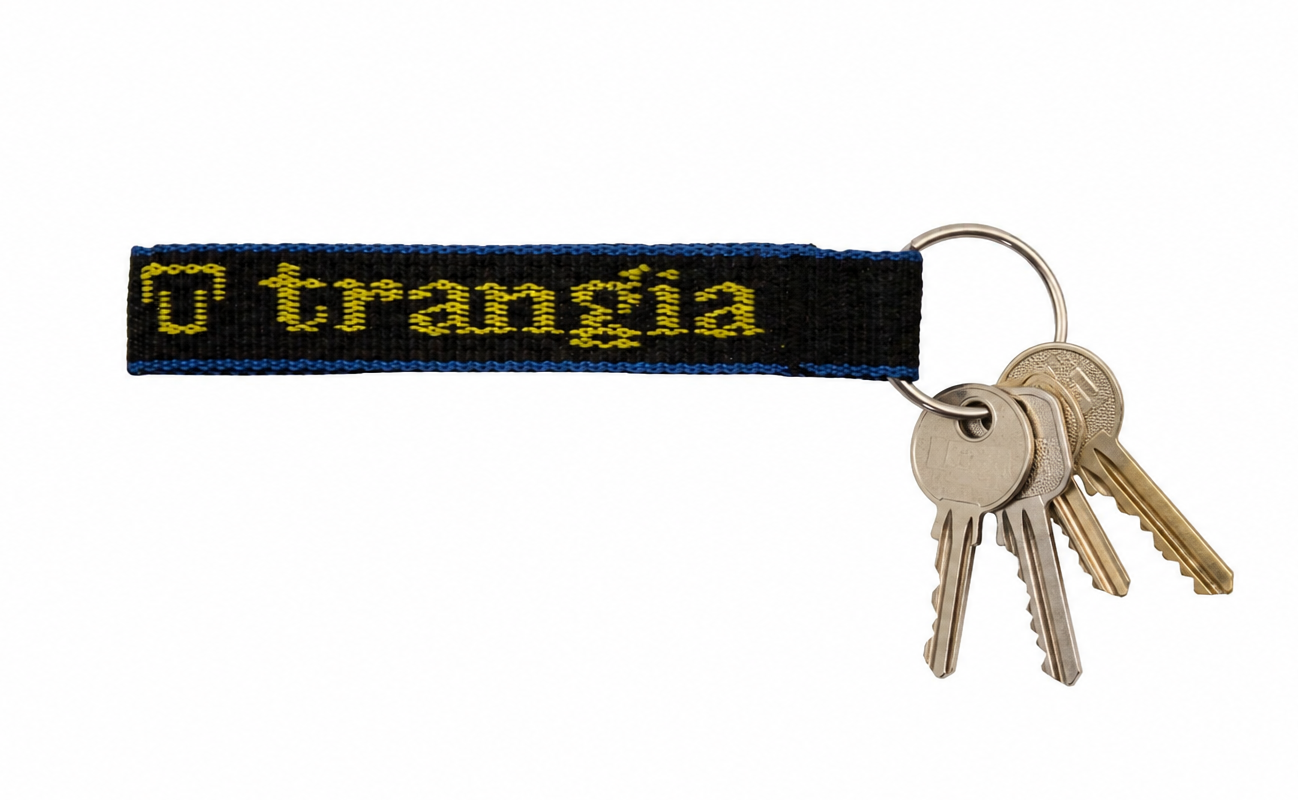 Key ring